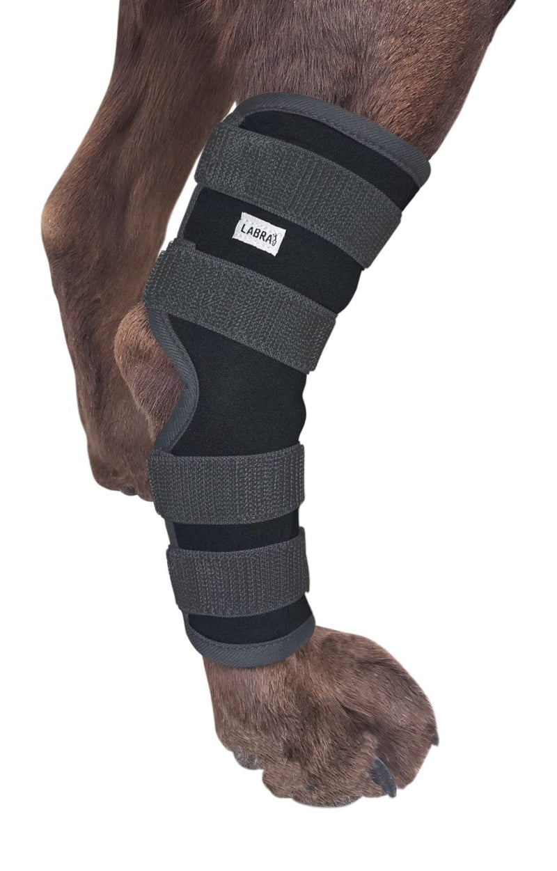 Labra Dog Rear Leg Hock Joint Compression Wrap - Supportive Brace for Weak Back Legs, ACL Tear, and Joint Discomfort - Adjustable Hind Leg Support for Senior Dogs - Extra Large - Image 1